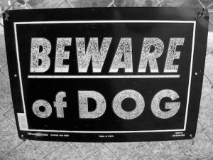 beware_dog